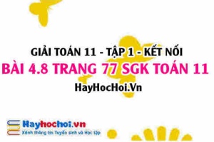 Giải bài 4.8 trang 77 Toán 11 tập 1 SGK Kết nối tri thức